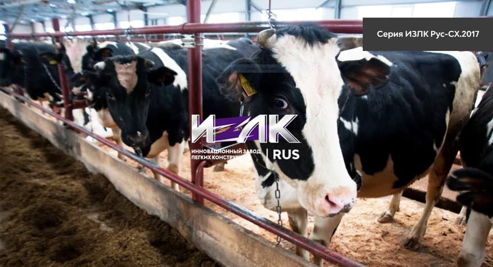 Основные виды коровников, эксплуатируемых животноводами Камышина и региона